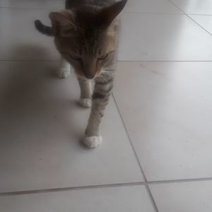 Meet your Posher, Maria